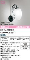 OG254309NCR