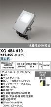 XG454019