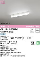 OL291575R2C