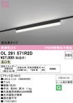 OL291571R2D