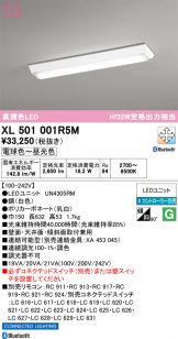 XL501001R5M