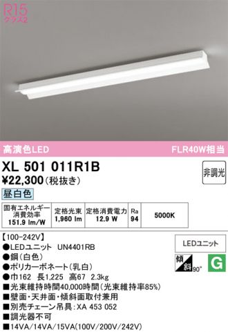 XL501011R1B