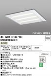XL501014P1D