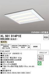 XL501014P1E