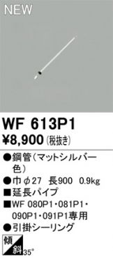WF613P1