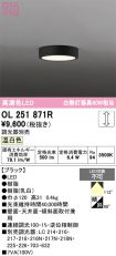 OL251871R