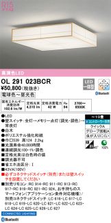 OL291023BCR
