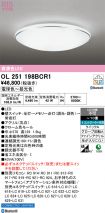OL251198BCR1