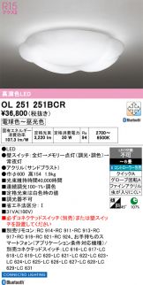 OL251251BCR