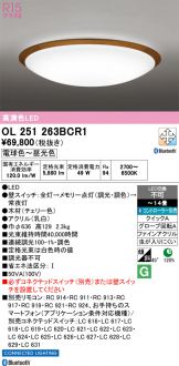 OL251263BCR1