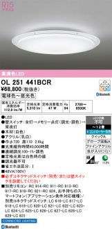 OL251441BCR