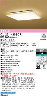 OL251480BCR