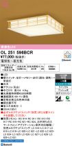 OL251596BCR