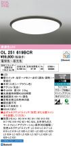 OL251619BCR