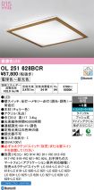OL251628BCR
