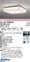 OL291022BCR