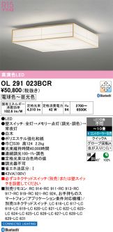 OL291023BCR