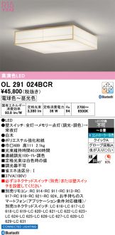 OL291024BCR