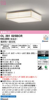 OL291025BCR
