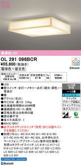 OL291096BCR