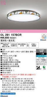 OL291157BCR