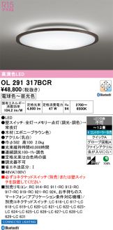 OL291317BCR