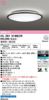 OL291318BCR