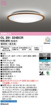OL291324BCR