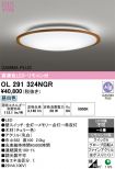 OL291324NGR