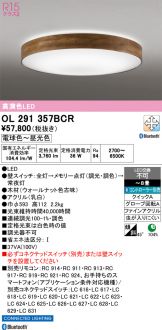 OL291357BCR