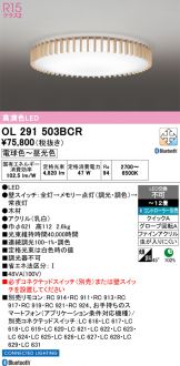 OL291503BCR