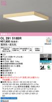 OL291518BR