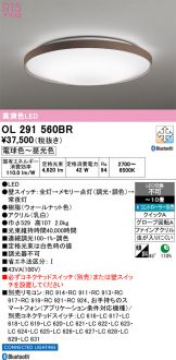 OL291560BR