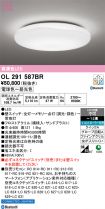 OL291587BR