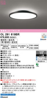 OL291619BR