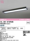 OL291872R2B