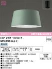 OP252133NR