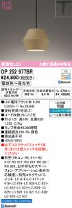 OP252977BR