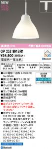 OP252991BR1