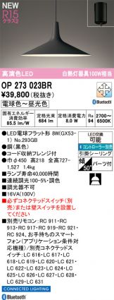 OP273023BR