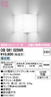 OB081025NR