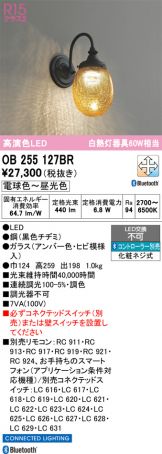 OB255127BR