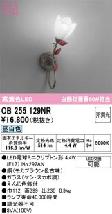 OB255129NR