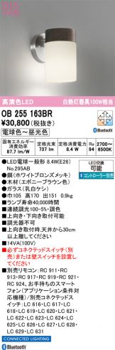 OB255163BR