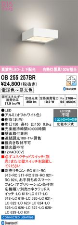 OB255257BR