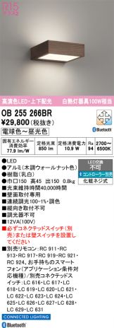 OB255266BR
