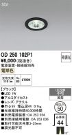 OD250102P1