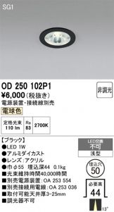 OD250102P1