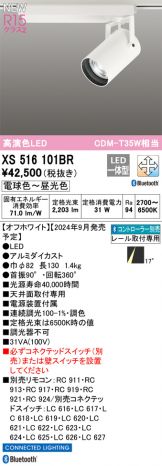 XS516101BR