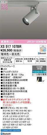XS517107BR
